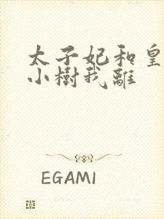 太子妃和皇上在小树我离封面