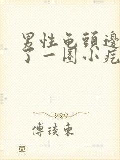 男性龟头边缘长了一圈小疙瘩