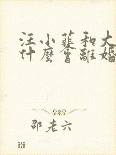 汪小菲和大s为什么会离婚