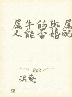 属牛的与属马的人能否婚配