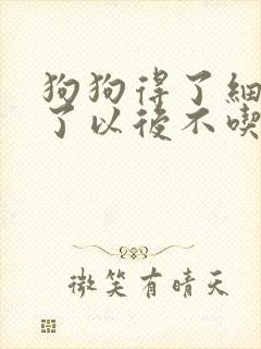 狗狗得了细小好了以后不吃东西怎么办