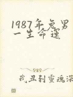 1987年兔男一生命运