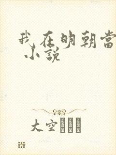 我在明朝当侯爷 小说