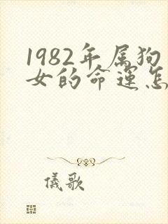 1982年属狗女的命运怎么样