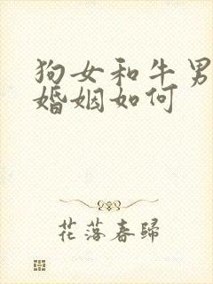 狗女和牛男相配婚姻如何封面