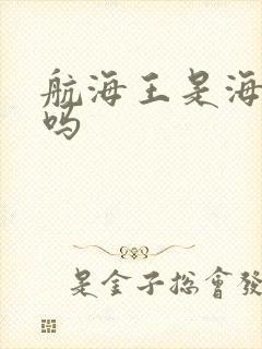 航海王是海贼王吗