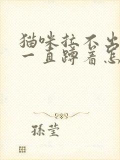 猫咪拉不出尿 一直蹲着怎么办