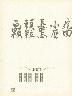 龟头长小疙瘩小颗粒怎么回事