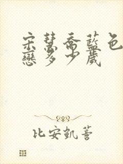 宋慧乔蓝色生死恋多少岁