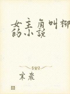 女主角叫柳如烟的小说