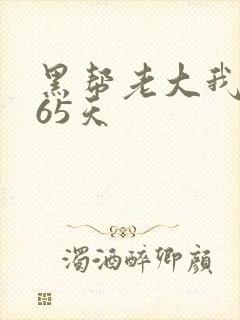 黑帮老大我的365天