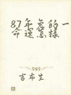 87年兔的一生命运怎样