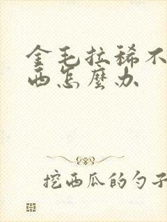 金毛拉稀不吃东西怎么办