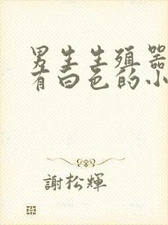 男生生殖器官上有白色的小疙瘩