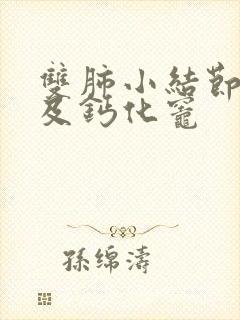 双肺小结节样影及钙化灶