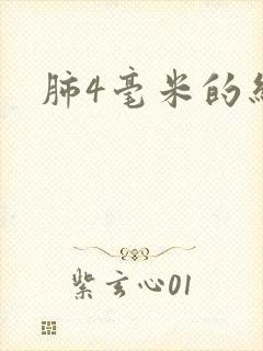 肺4毫米的结节封面