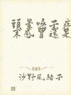 头晕嗓子疼是风寒感冒还是风热感冒