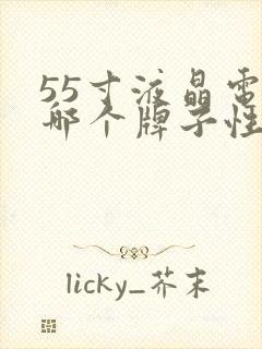 55寸液晶电视哪个牌子性价比高