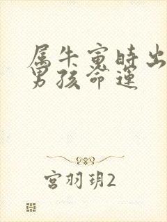 属牛寅时出生的男孩命运