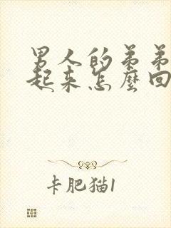 男人的弟弟硬不起来怎么回事封面