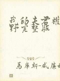 我的夫君权倾朝野完整版