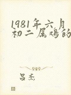 1981年六月初二属鸡的命运如何封面