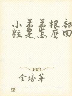 小弟弟根部长肉粒是怎么回事封面