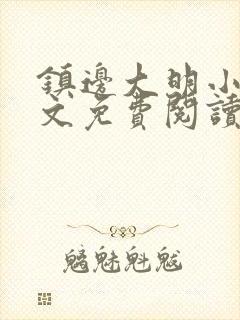 镇边大明小说全文免费阅读封面