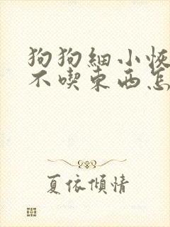 狗狗细小恢复期不吃东西怎么办封面