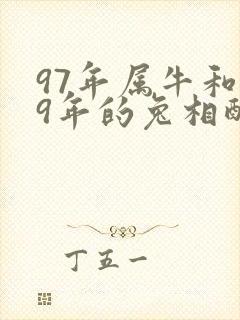 97年属牛和99年的兔相配吗