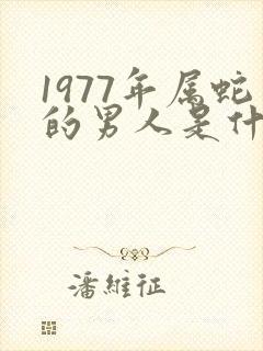 1977年属蛇的男人是什么命