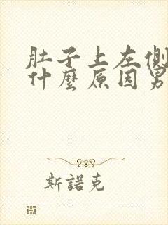 肚子上左侧疼是什么原因男性