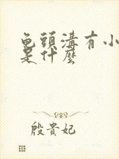 龟头沟有小肉粒是什么