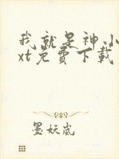 我就是神小说txt免费下载