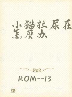 小猫拉尿在床上怎么办