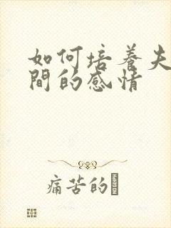 如何培养夫妻之间的感情