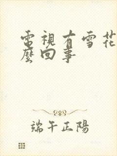 电视有雪花点怎么回事