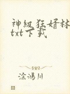 神级狂婿林平之txt下载