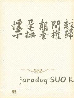 怀孕期间离婚孩子抚养权归谁