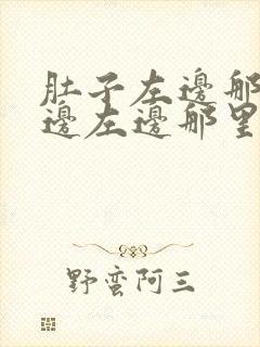 肚子左边那里右边左边那里痛是什么原因呢