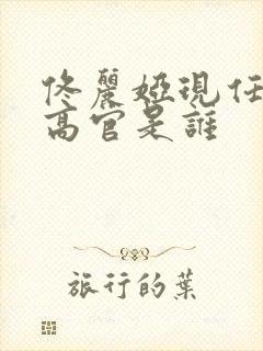 佟丽娅现任丈夫高官是谁