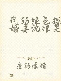 我的绝色总裁未婚妻沈浪是什么身份