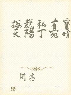 总裁私有宝贝穆天阳丁宛晴