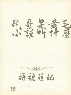 我哥是黄毛原著小说叫什么名字