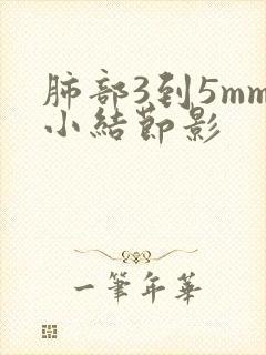 肺部3到5mm小结节影