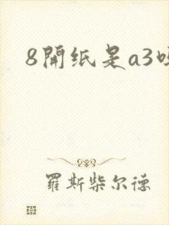 8开纸是a3吗