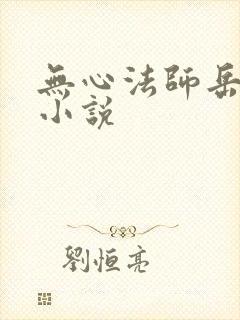 无心法师岳绮罗小说