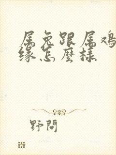 属兔跟属鸡的姻缘怎么样封面