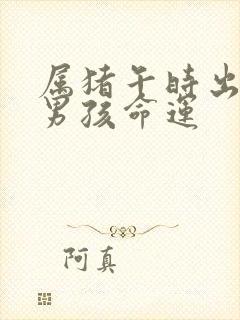 属猪午时出生的男孩命运