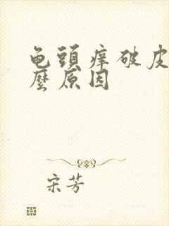 龟头痒破皮是什么原因